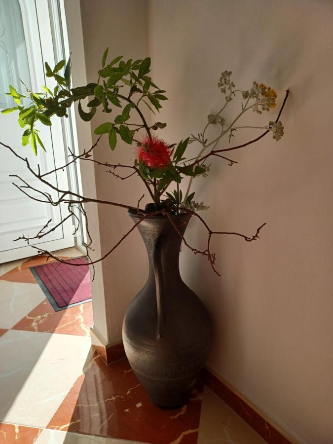 Apartmani Ivic Paka Rab Banjol Extérieur photo